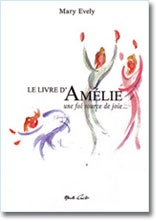 LE LIVRE D'AMELIE NDSP