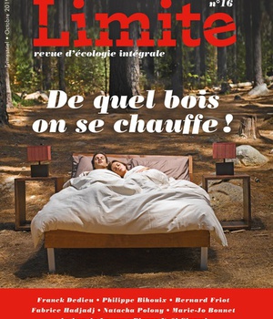 DE QUEL BOIS ON SE CHAUFFE ! REVUE LIMITE NO 16