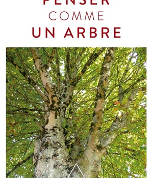 PENSER COMME UN ARBRE