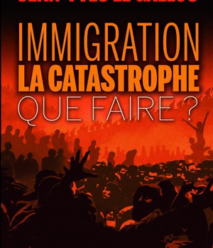 IMMIGRATION : LA CATASTROPHE - QUE FAIRE?