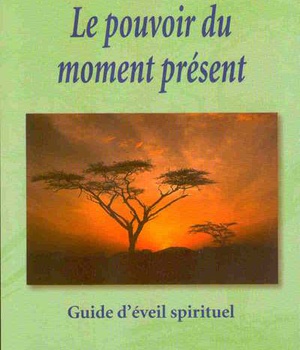 LE POUVOIR DU MOMENT PRESENT